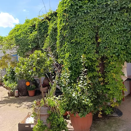 El Patio בית נופש Valmuel