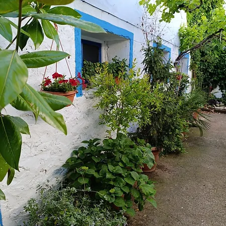 בית נופש El Patio *