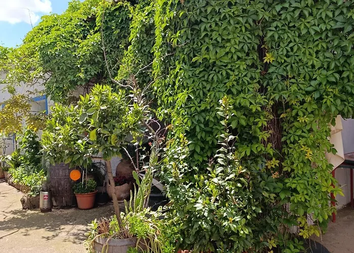 El Patio Casa vacanze Valmuel