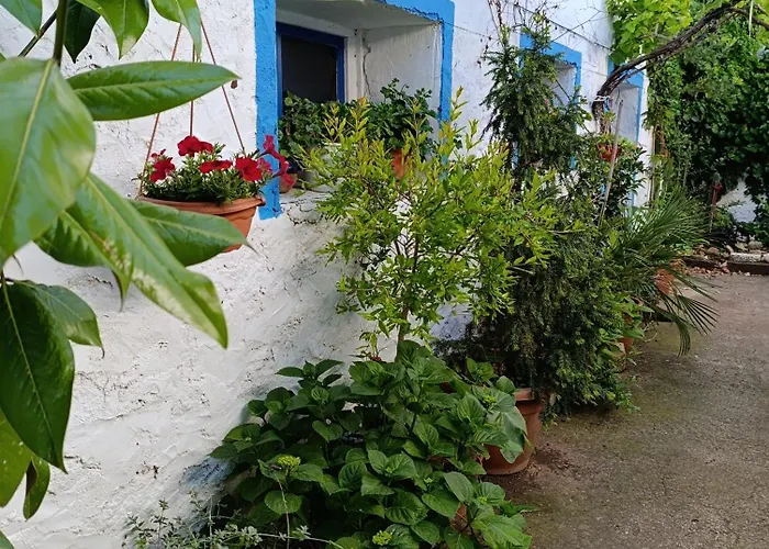 Casa vacanze El Patio *